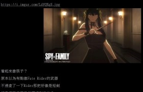 《SPY×FAMILY 间谍家家酒》约儿. 佛杰到底是使用什么武器？